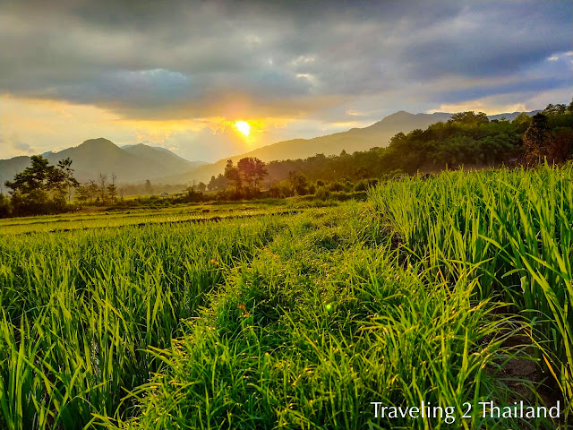 Sunrise over rice field & mountains in Pua, North Thailand Traveling in North Thailand
