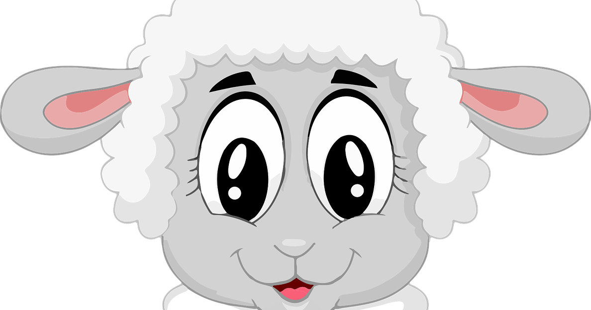 Free Lambs Heads and What I Did With Them Penniless Parenting