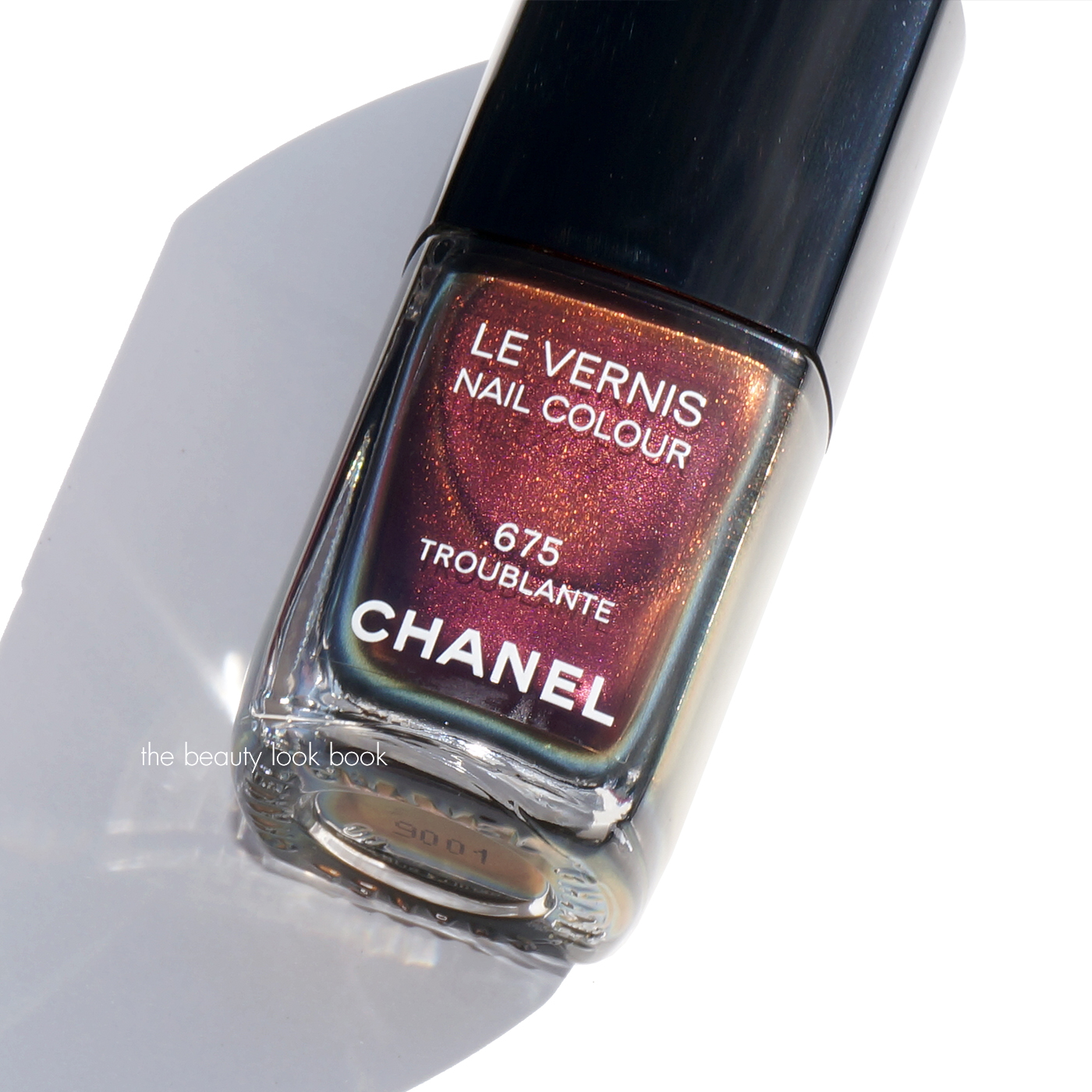 BUSTED! This New Chanel Nail Polish Is Not What You Think It Is -  SoNailicious