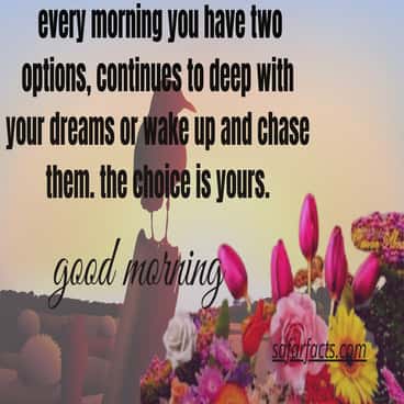 Good Morning Images With Positive Words Best 151 Good Morning Images With Your Day Positive Words - Recent Post:  Daily Safar Facts/Read Dailymotivational Quotes