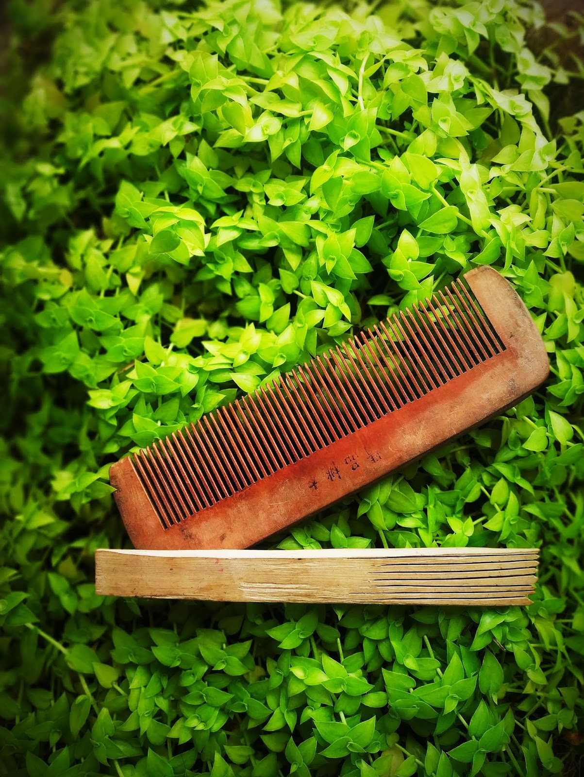 Amazing Benefits of Wooden Comb