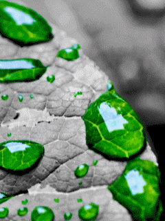 Centro AntiFumo Quit: giugno 2011