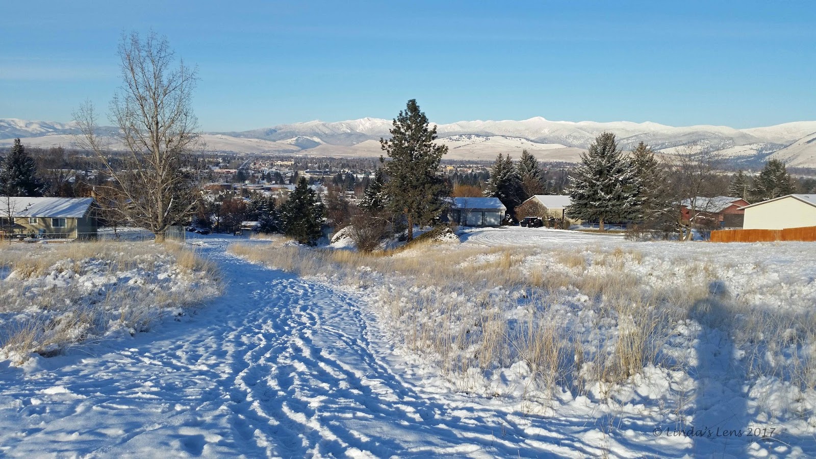 Linda's Lens Christmas in Montana