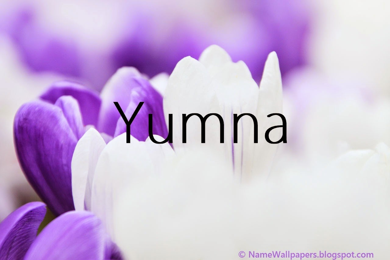 Yumna Name Wallpapers Yumna Name Wallpaper Urdu Name Meaning Name