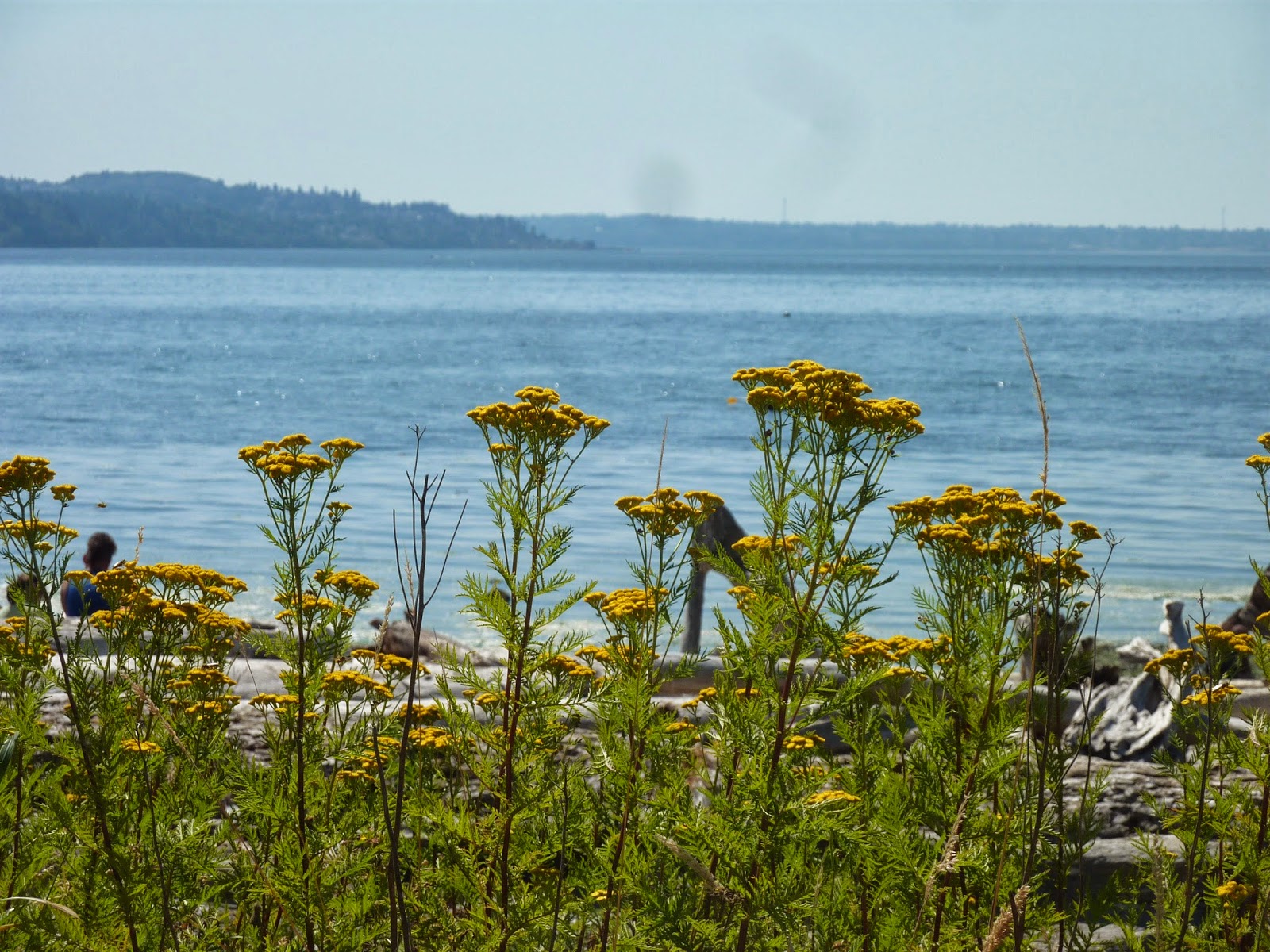 BJ's Homeschool Homeschooling in Washington State