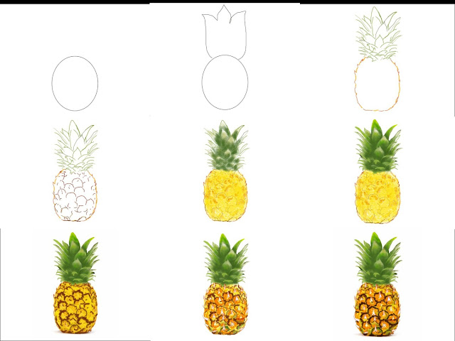 how-to-draw-pineapple