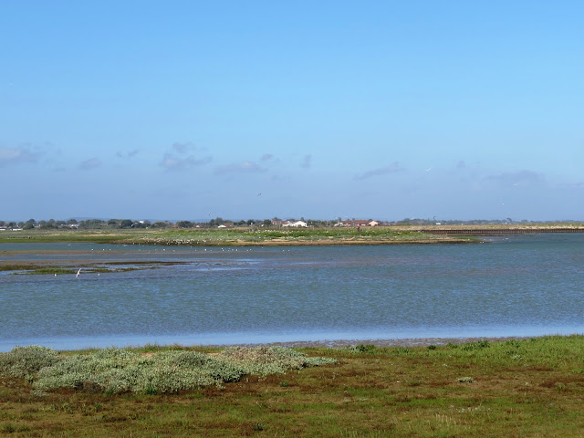 Pagham Harbour, West Sussex Pagham Harbour, West Sussex
