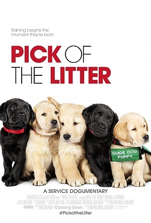 Pick of the Litter - Legendado  Torrent