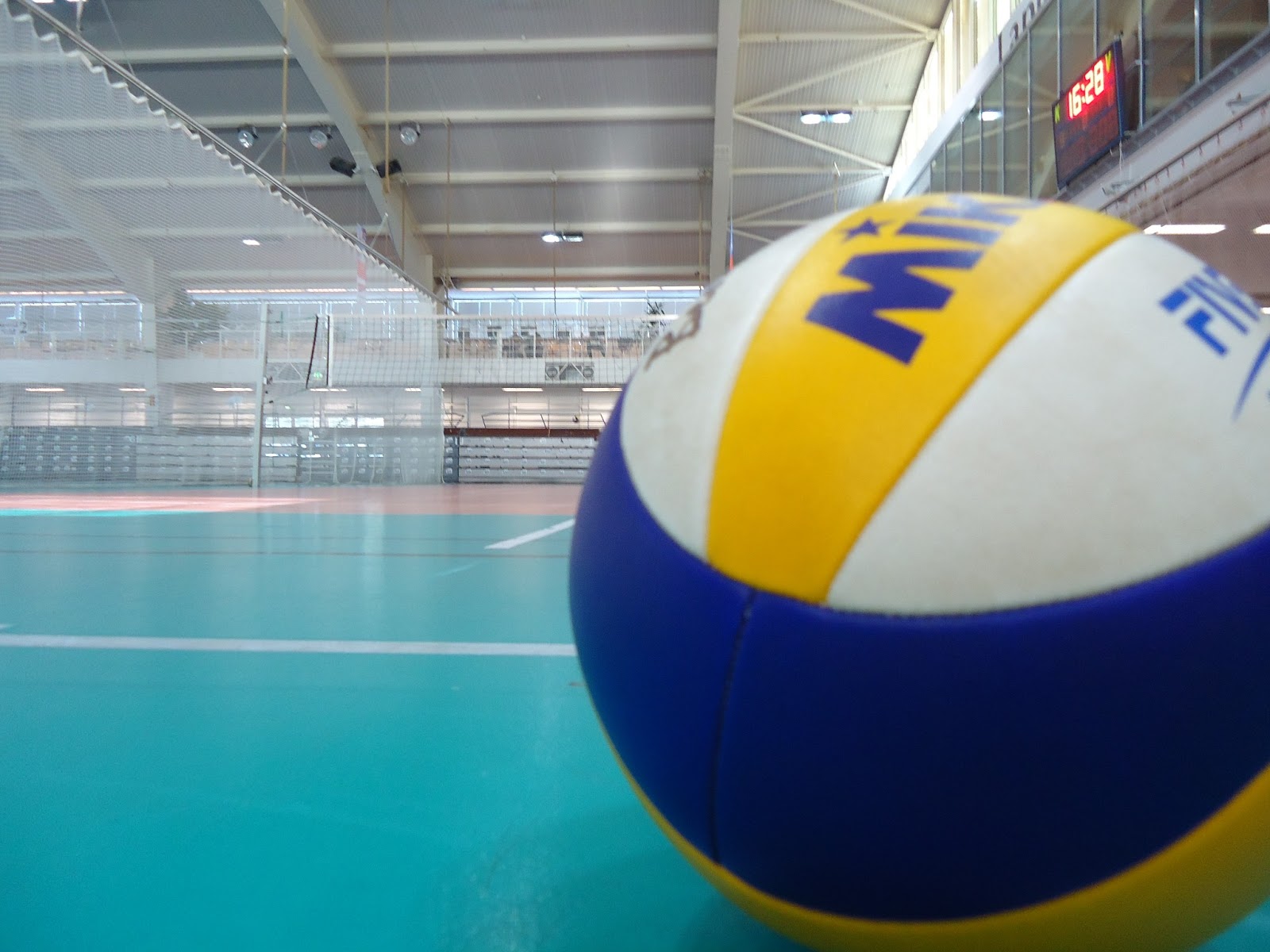 Volleyball Wallpaper - QHD Wallpapers