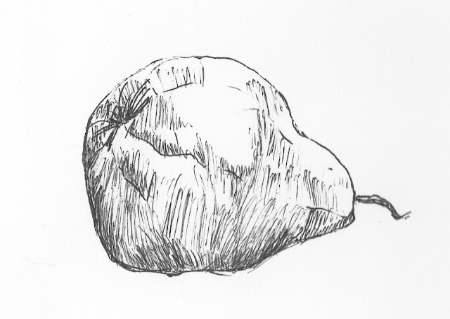 ink pear drawing