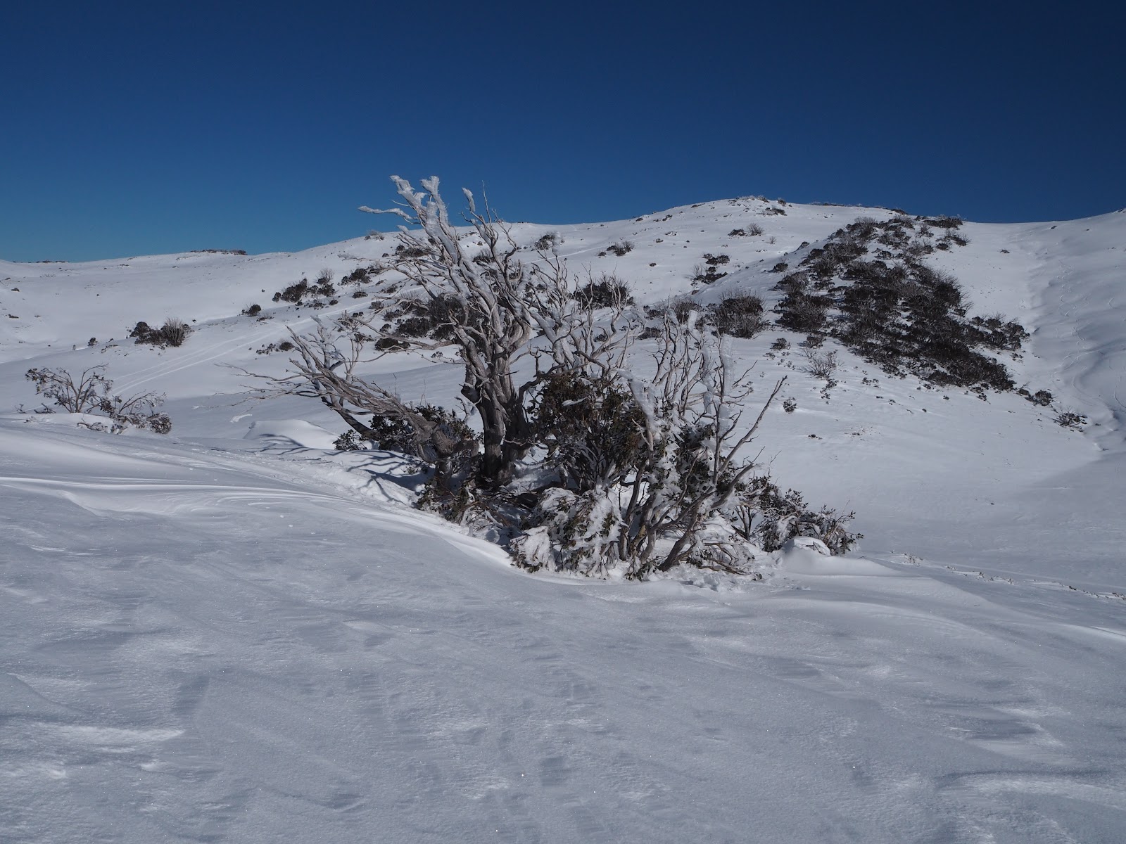 Australian Alpine Club Falls Creek