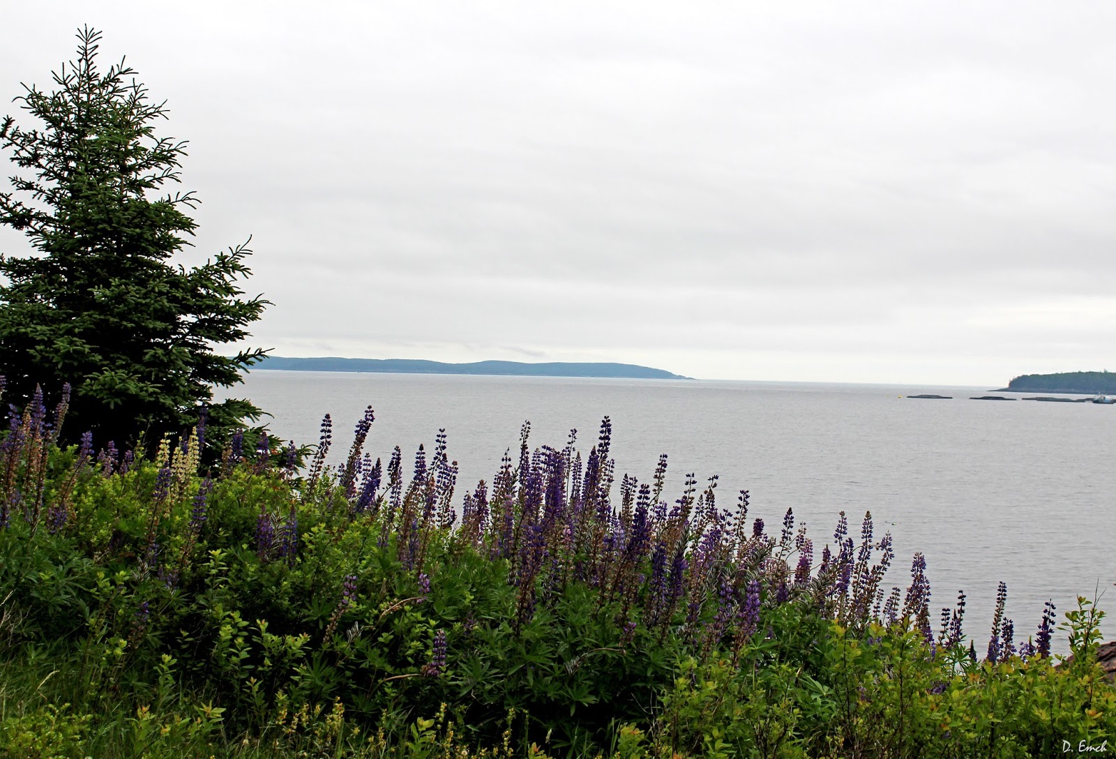 Capture America Journal Maine East Machias, Machiasport Ghosts of Maine