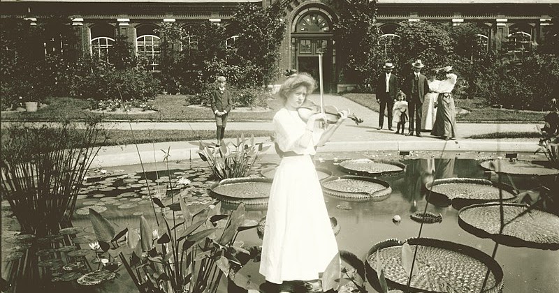 Heroes, Heroines, and History: Botanical Gardens: Giant Victoria Water Lily