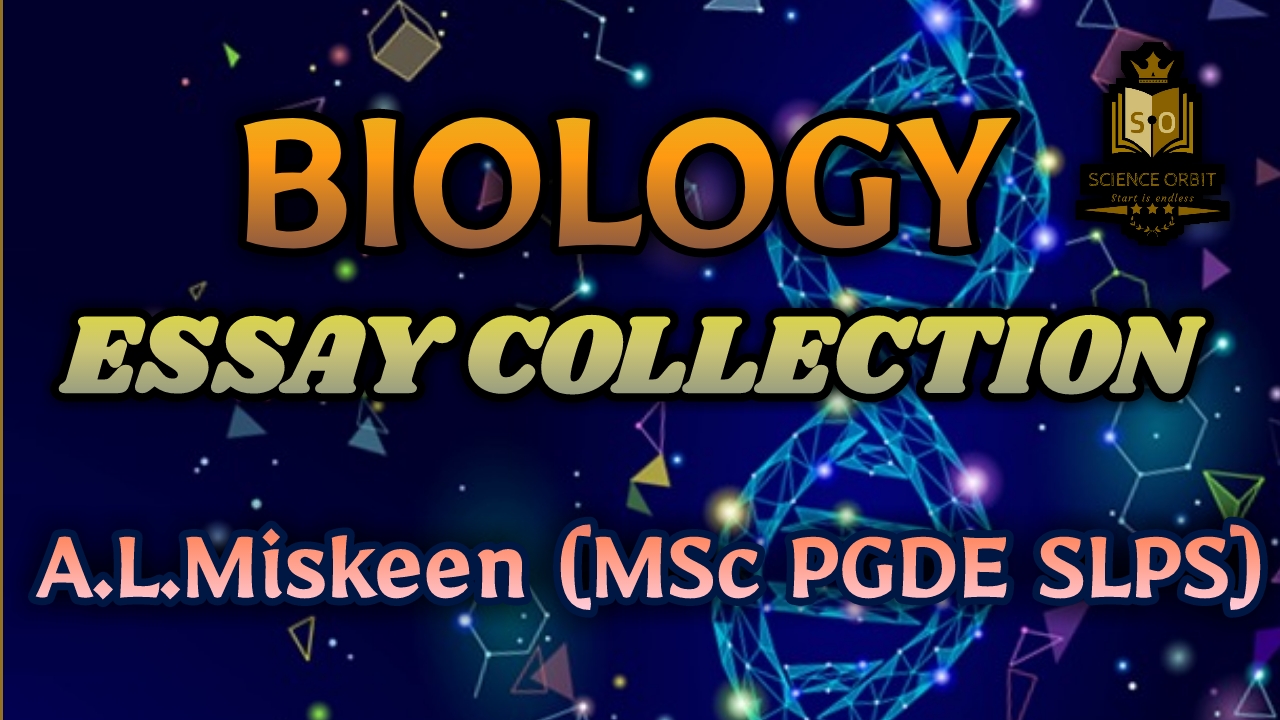 Pgde essay questions picture