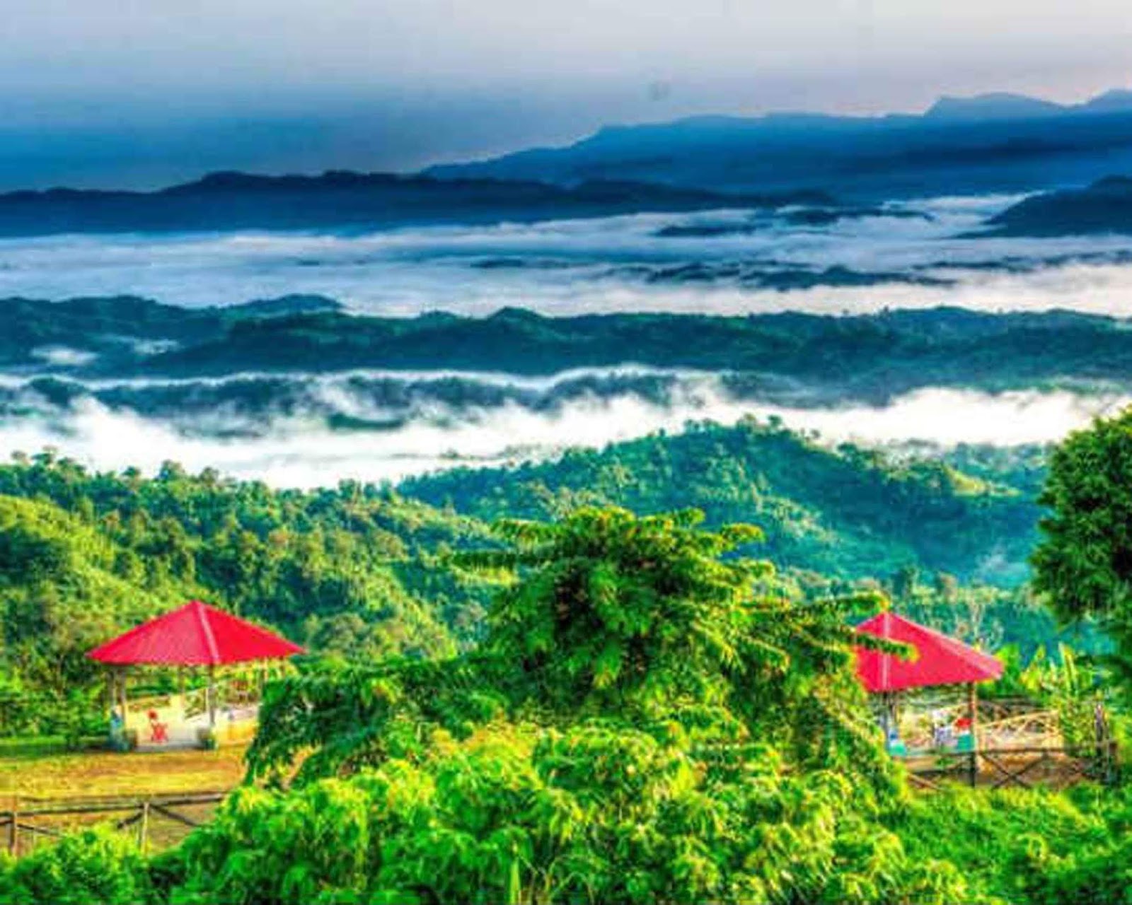 Sajek ValleyBagaichori, RangamatiPicnic & Resort Spot Picnic Spot