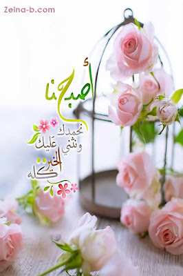 صور صباح الخير ، صور صباحية صباح النور صباح الورد صباح الحب