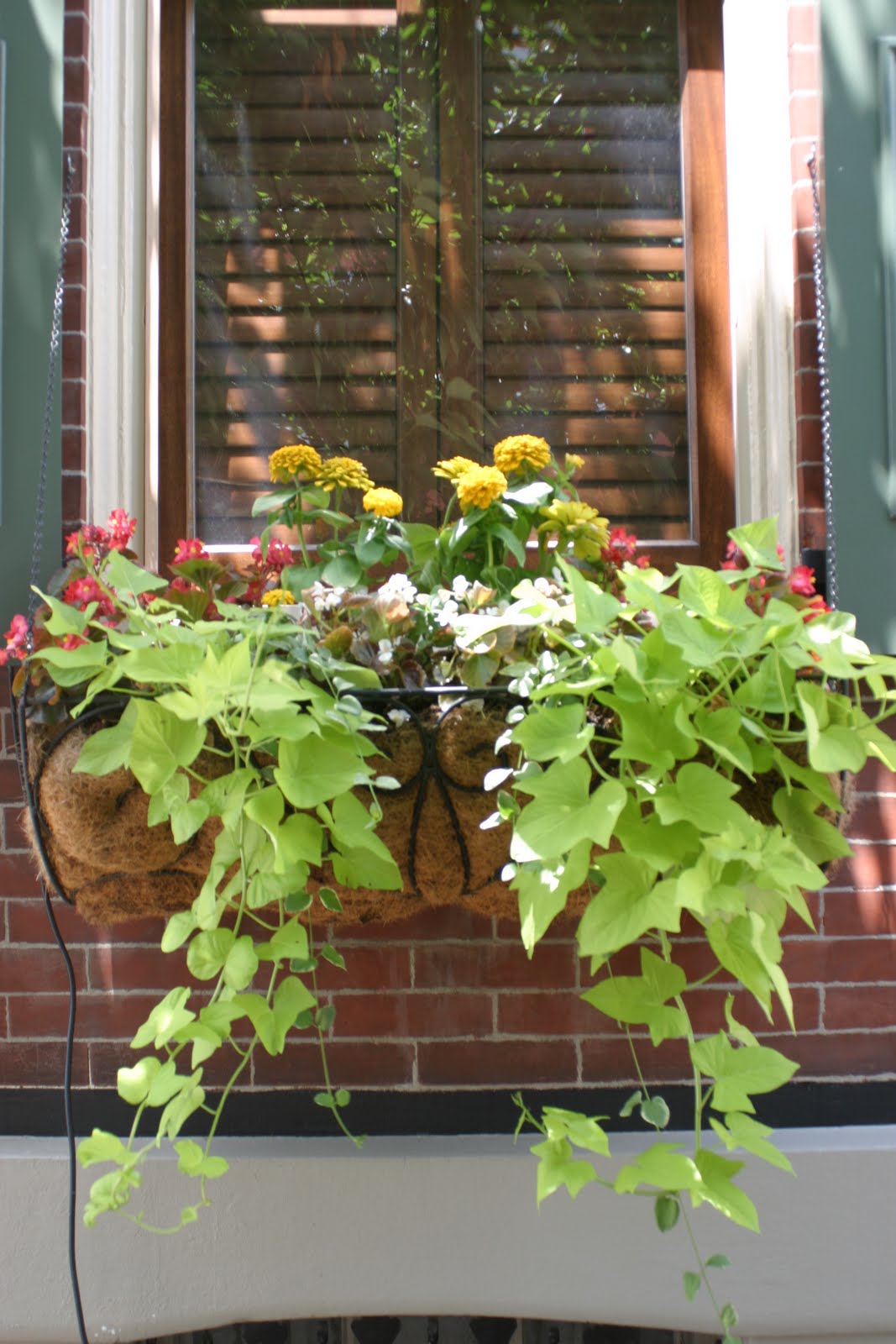 Julie's Journeys: Philadelphia: Window Flower Boxes
