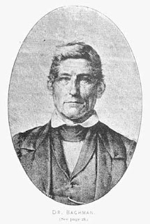 Daniel bachman morning star review image