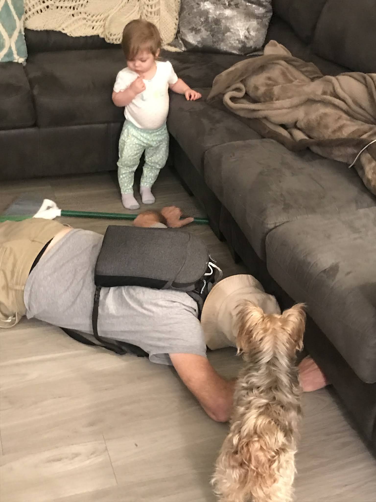 Brain cancer is... The Problem with Throwing a Dog a Bone