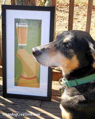 Teutul thinks the Yellow Dog Brewing Co is pretty spiffy, but thinks there should be a Black & Tan Dog Brewing Co. to go along with it #FramedDogArt #FramedArt #CraftBeer #RescuedDog #LapdogCreations ©LapdogCreations