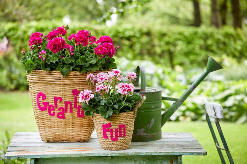 Because flowers. Because flowers. Because flowers. L love flower цитаты. клевер луговой листья.