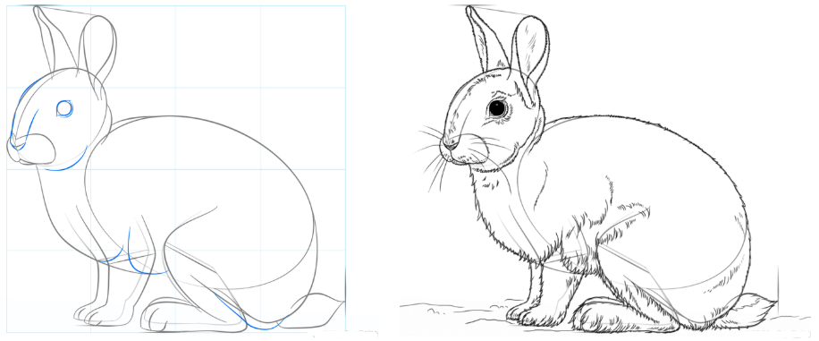 Einen hasen zeichnen - hasen und kaninchen zeichnen | ganz einfach