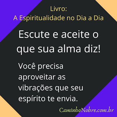 Escute e aceite o que sua alma diz! Você precisa aproveitar as vibrações que seu espírito te envia. Livro: A Espiritualidade no Dia a Dia