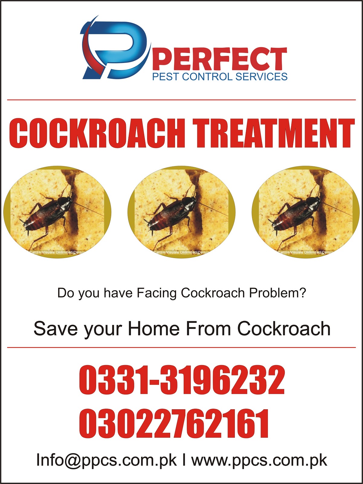 Perfect Pest Control Services Termite Proofing Treatment Bedbugs Treatment Cockroach Treatment 