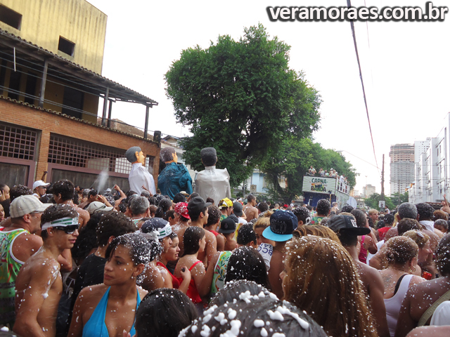 Banda do Botafogo - Carnabanda 2013