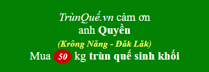 Trùn quế huyện Krông Năng