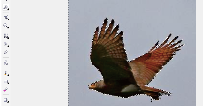 Gambar Ornamen Yang Digunakan Di Coreldraw : Membuat ...