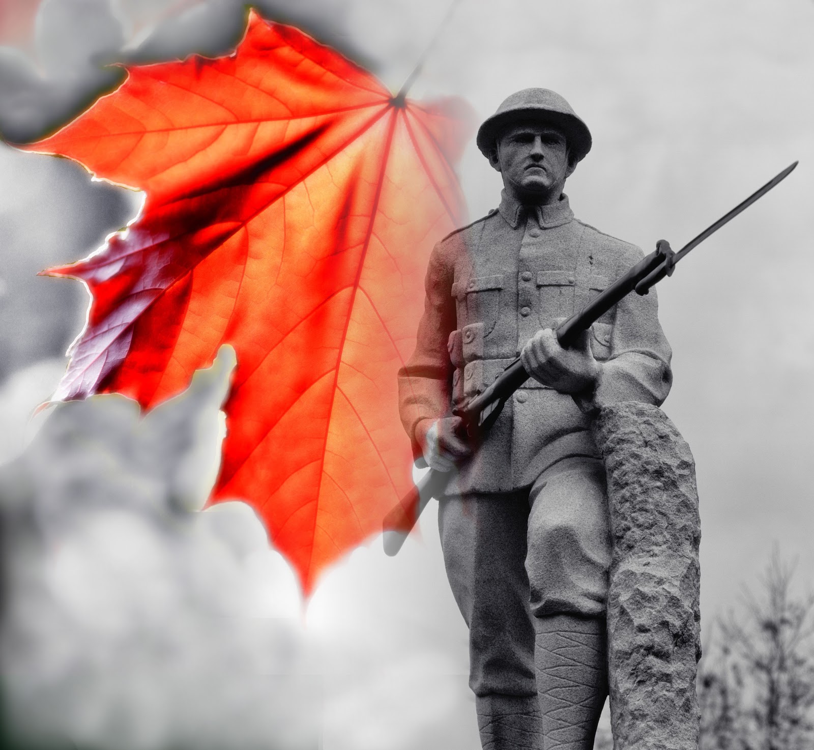 Field Notes Cumberland County, Nova Scotia Remembrance Day 2012