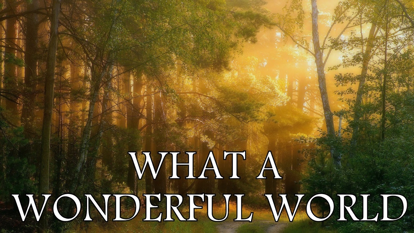 Will a wonderful world. луис армстронг what a wonderful world текст. луи армстронг what a wonderful world. вандефул ворлд. Our wonderful world.