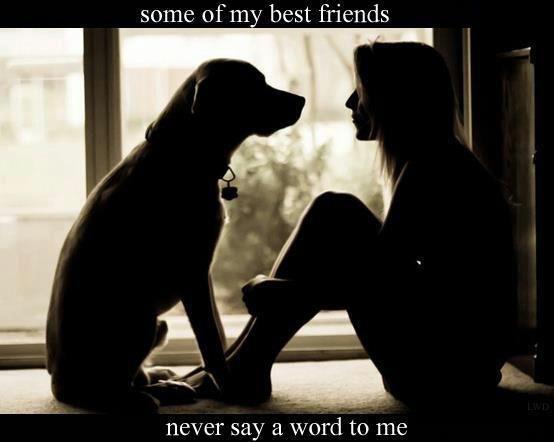 Cute Dog Quotes : Some of my best friends never say a word to me