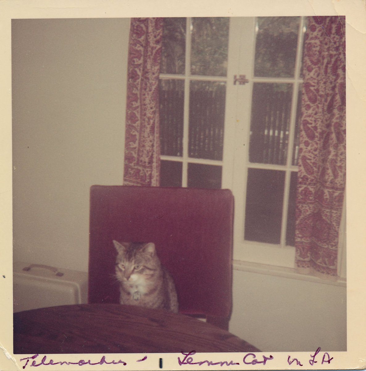 True Book Addict...Books, Cats, and More CatThursday (81) Authors