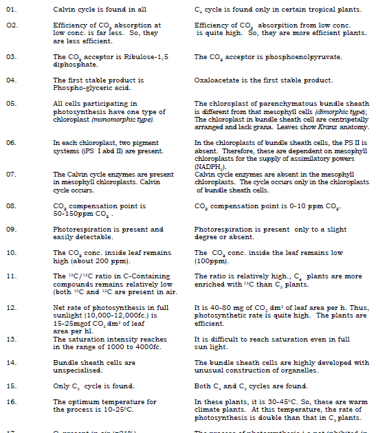 Differences between C3 and C4 plants