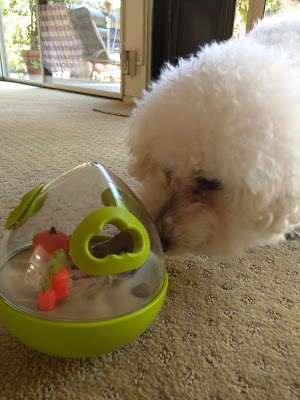 Enrichment toy for dogs