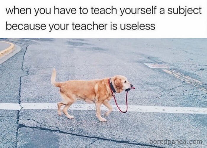 20 Fascinating Posts That College Students Will Relate To 20 Fascinating Posts That College Students Will Relate To
