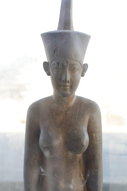 Animal mummies and other discoveries from Saqqara necropolis unveiled Animal mummies and other discoveries from Saqqara necropolis unveiled
