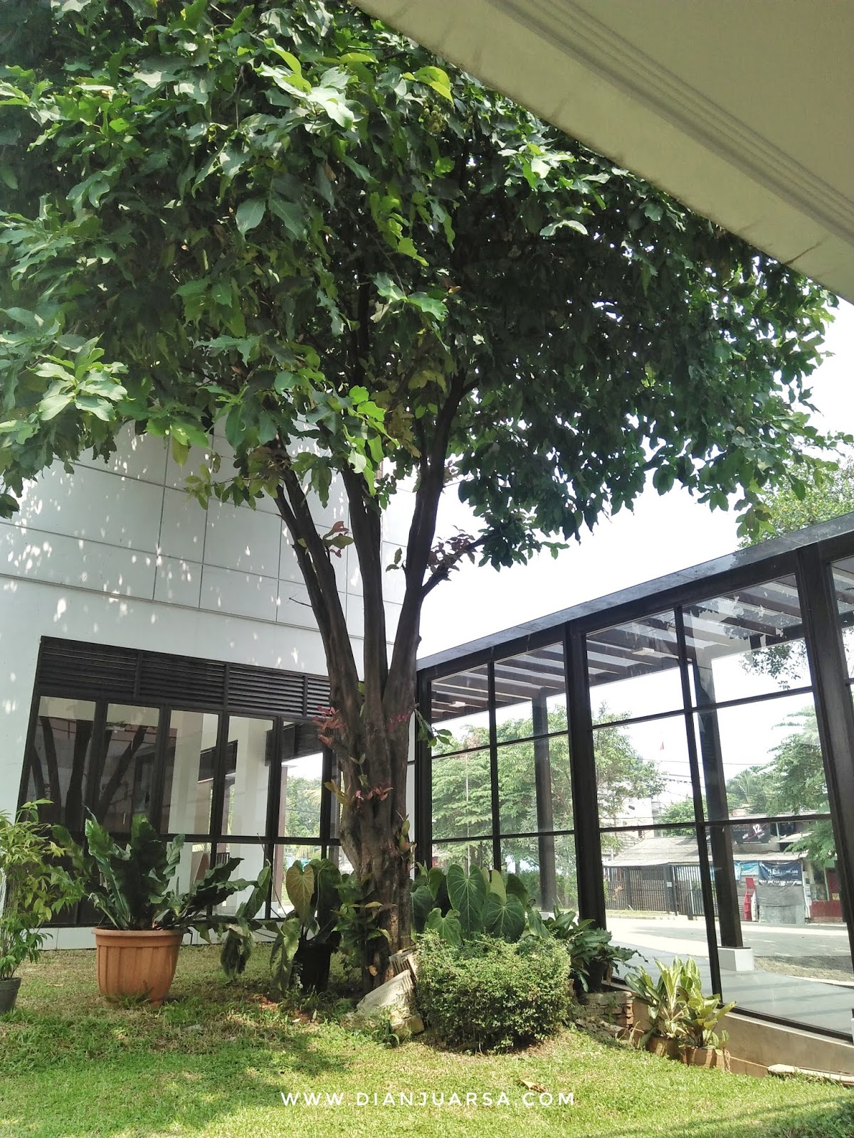 Pap Smear Murah Di Yayasan Kanker Indonesia Lebak Bulus Jakarta Untold Story