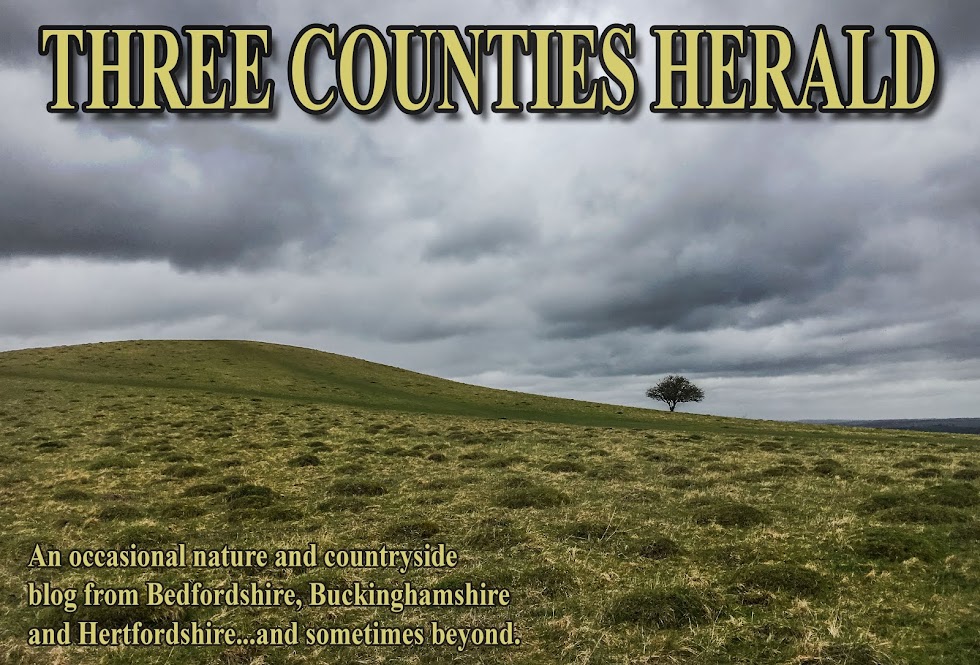 Three Counties Herald