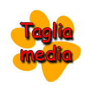 Taglia media