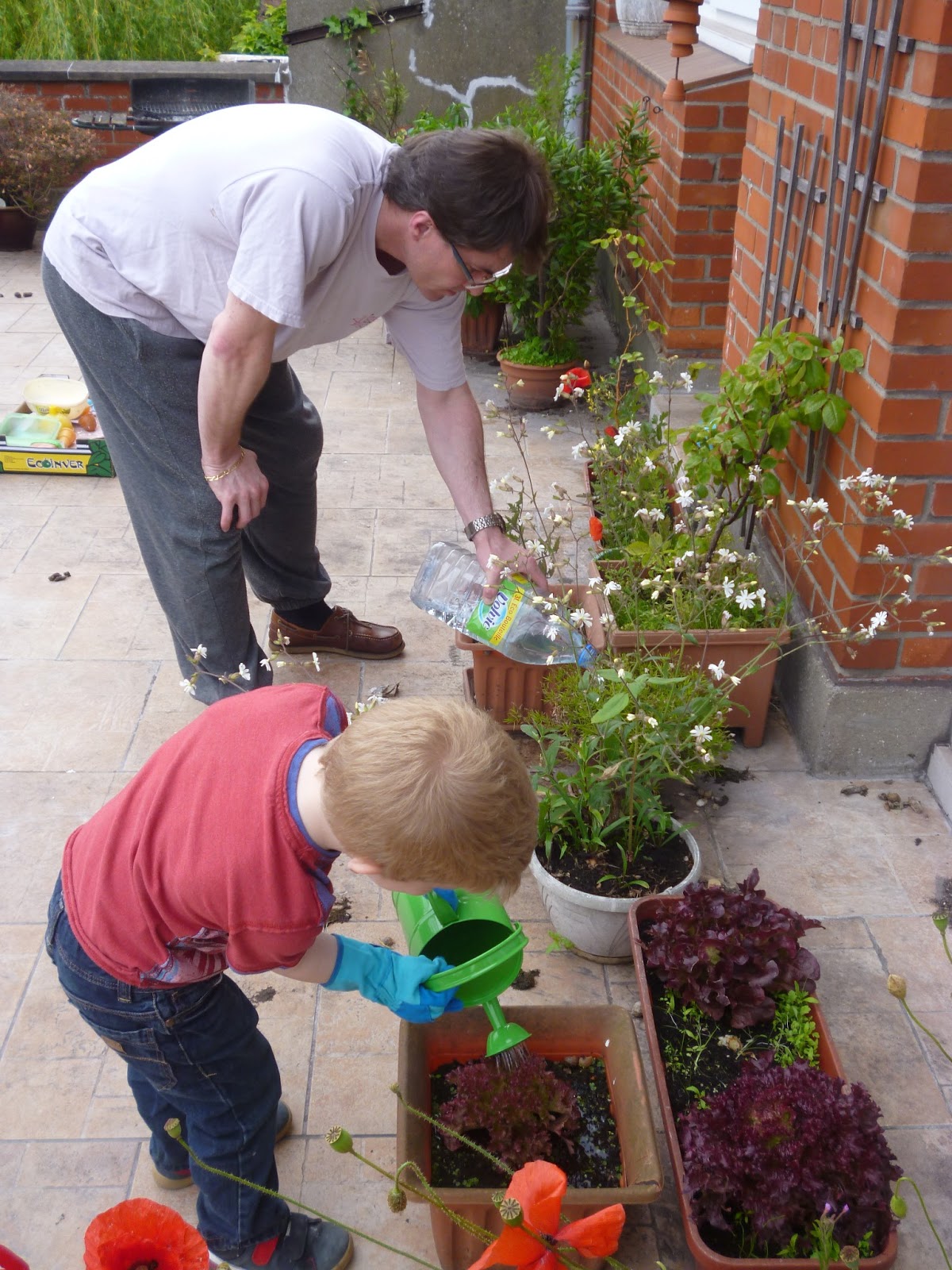 Madhouse Family Reviews KidsGrowWild Gardening Challenge Even Without 