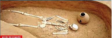 Kalibanga Museum Kalibanga Museum