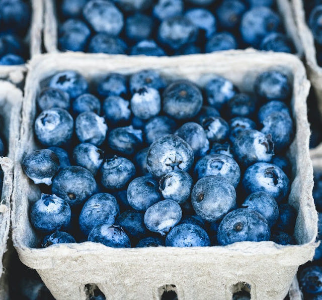 Buah Blueberry Berkualitas dan Segar