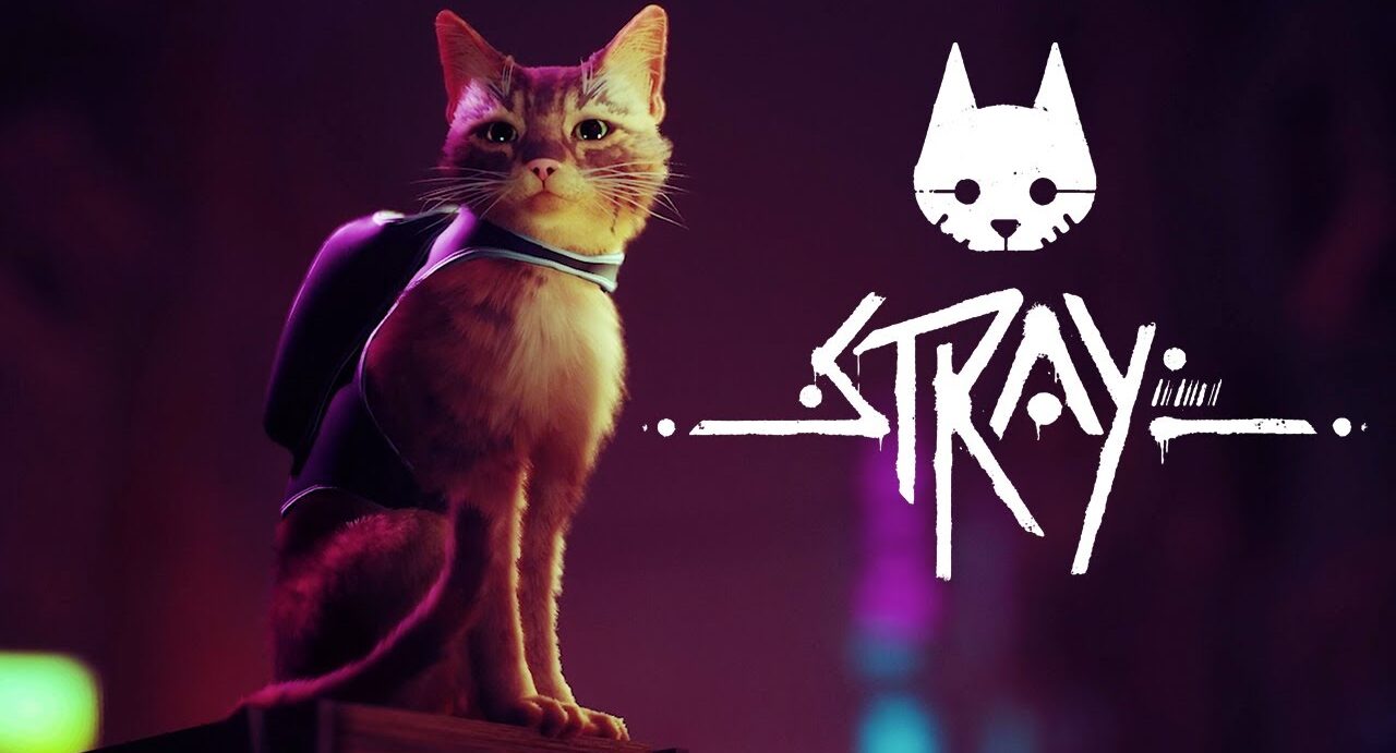 STRAY (Multi) receberá versão de PlayStation 4 e será lançado no início