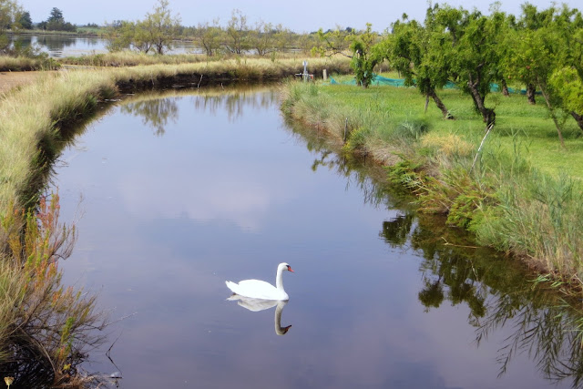 percorsi a piedi laguna di venezia