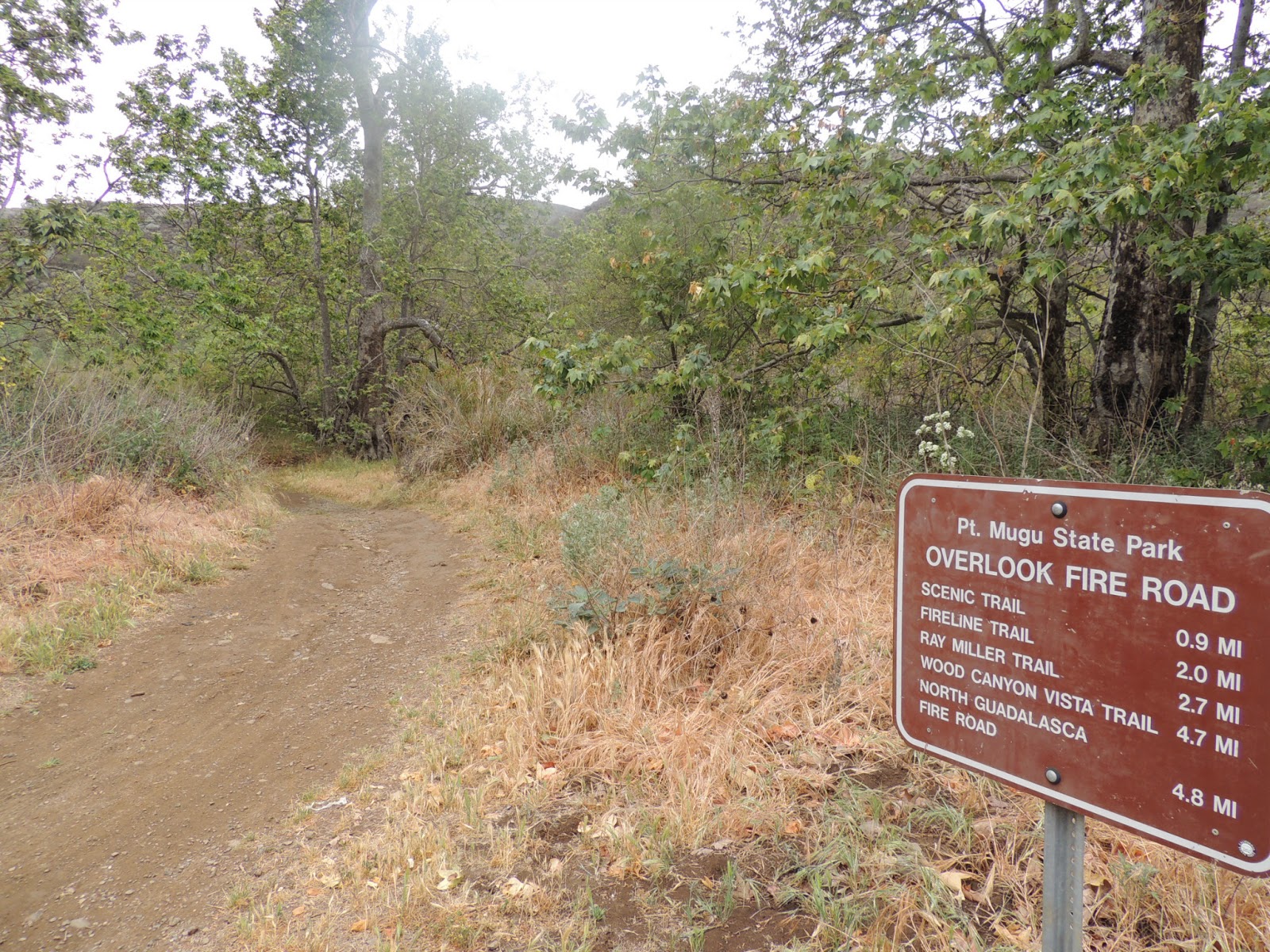1000 Hikes in 1000 Days Day 890 Wood Canyon Vista Trail Backbone