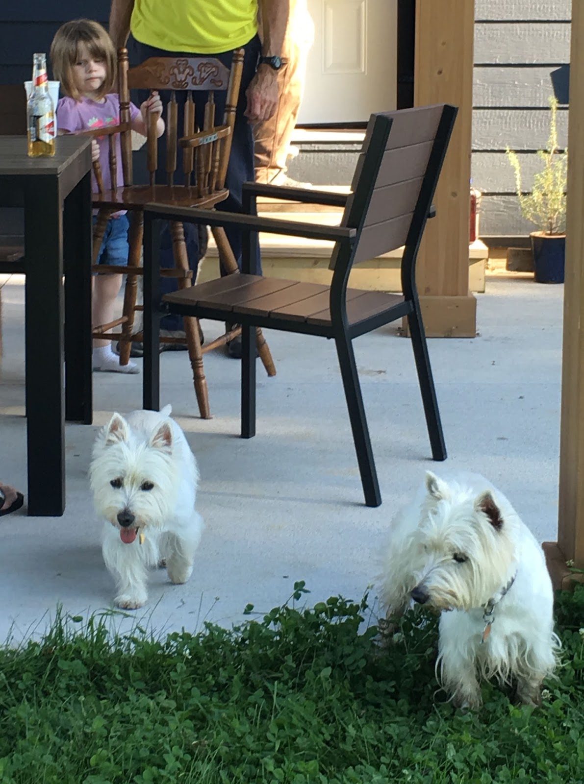 Dreaming of Asia in Texas RV Road Trip Zumbrota, Duluth and