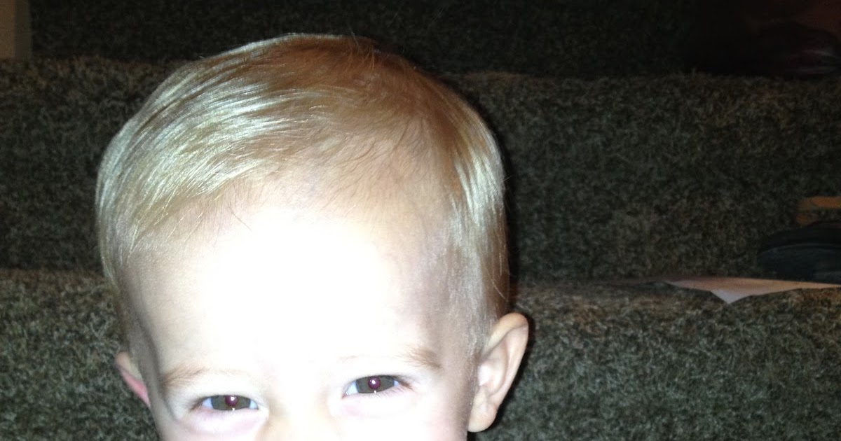 Haircut Zimmerman Mn Haircut Zimmerman Mn